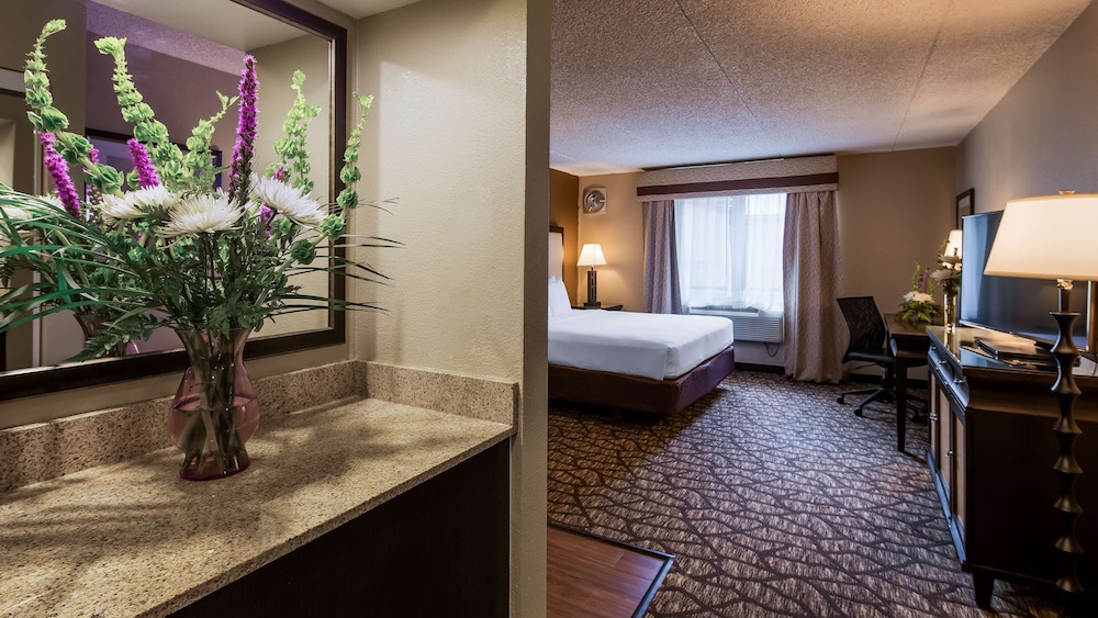 Best Western Detroit Livonia 22/42