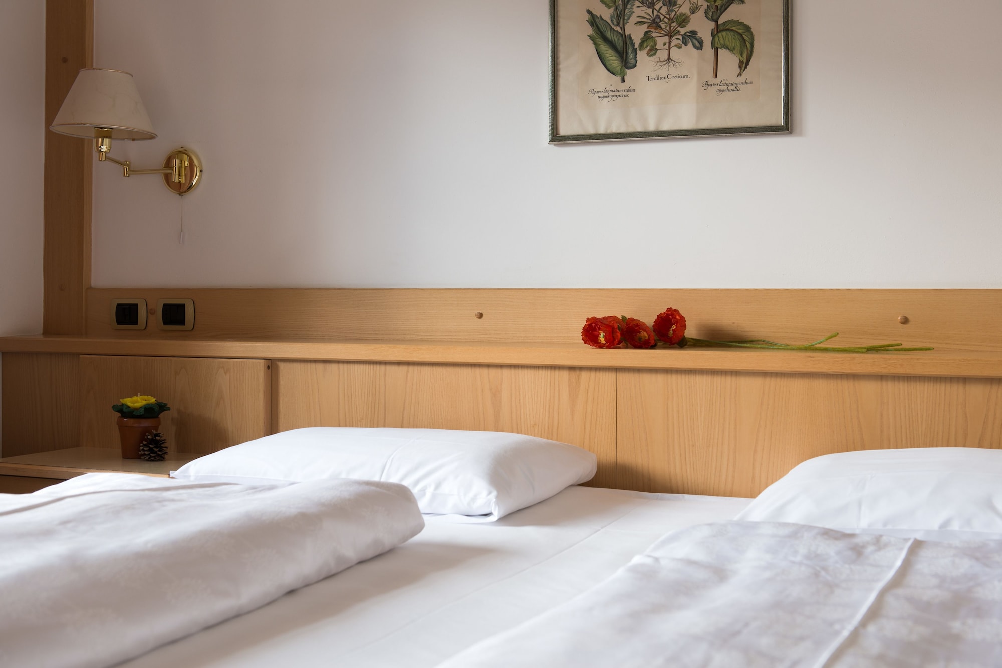 Junior Suite, 1 Single and 2 Double Beds, Large