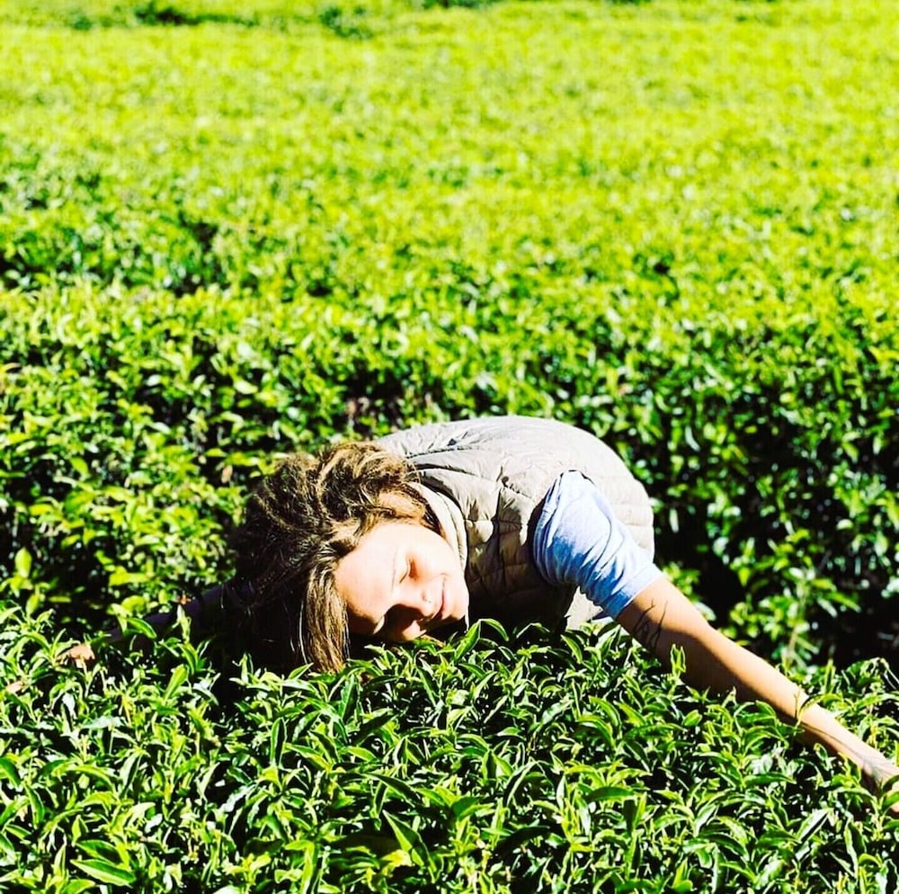 Tea Fields Villa 43/53