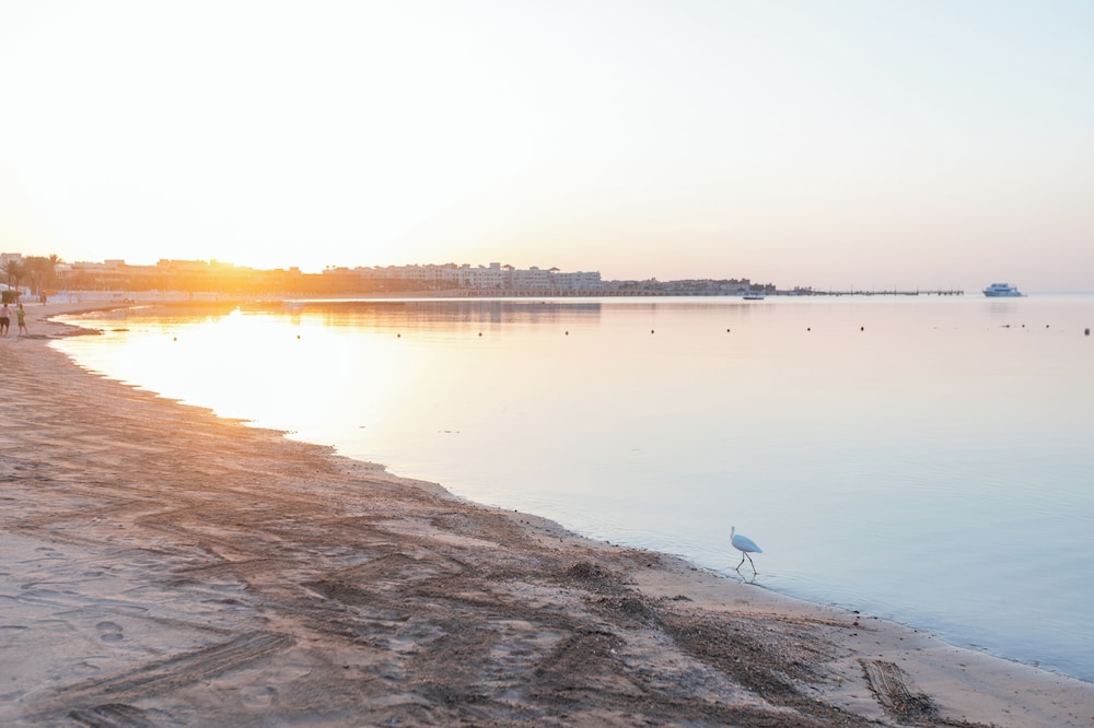 Old Palace Resort Sahl Hasheesh 41/48