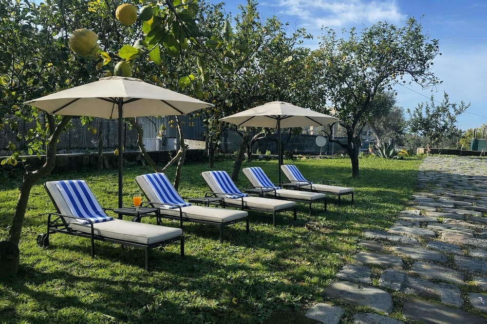 Lemon Factor Sorrento 41/50