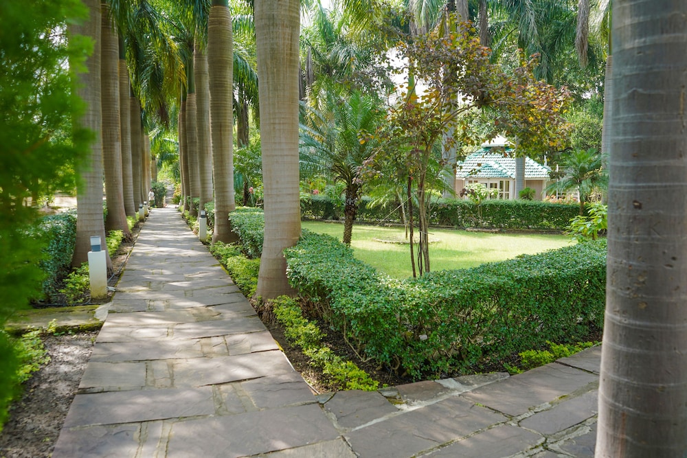 Village Machaan Resort 32/46