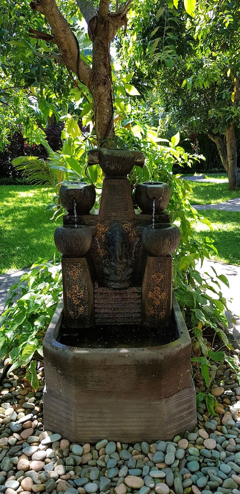 Mango Tree Inn 37/47