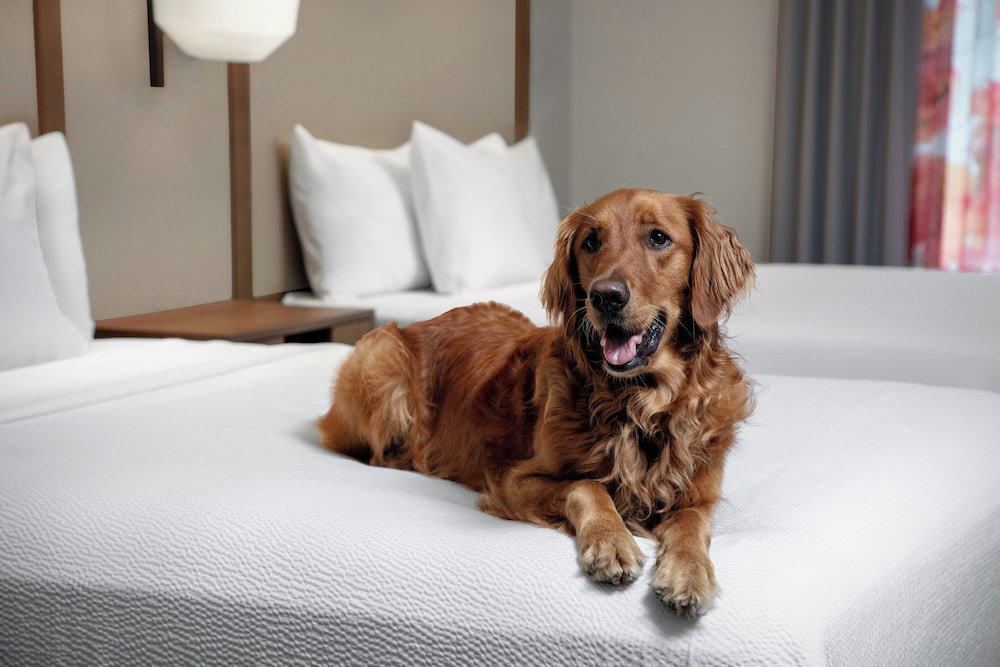Fairfield Inn & Suites by Marriott Sarasota Lakewood Ranch 28/60
