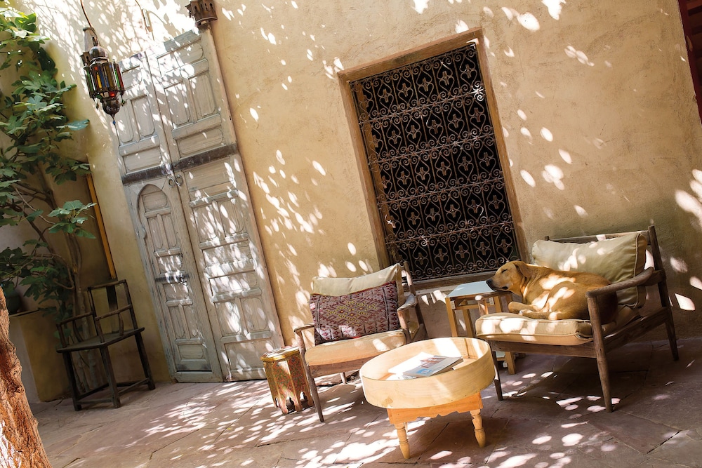 Riad Kbour & Chou 5/50