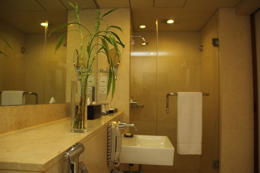 Radisson Blu Dhaka Water Garden 36/83