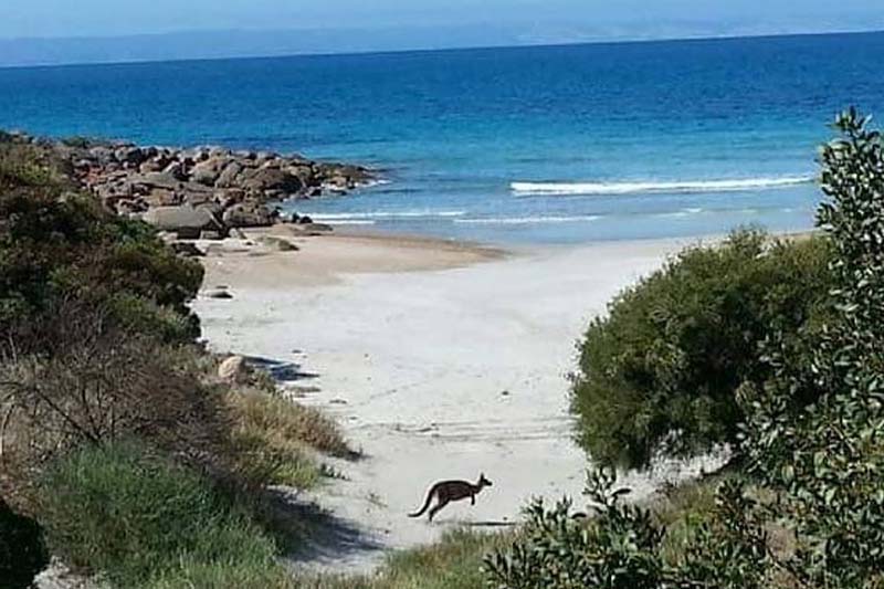 SEA DRAGON LODGE 49/55