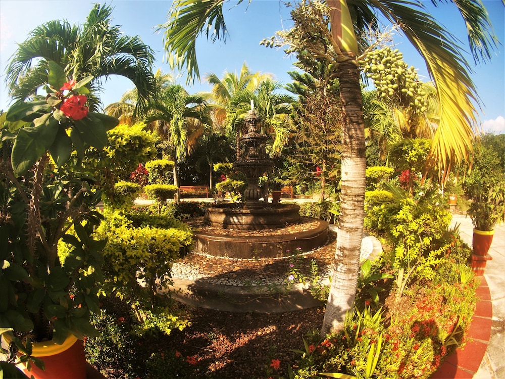 Quinta Comala 3/46