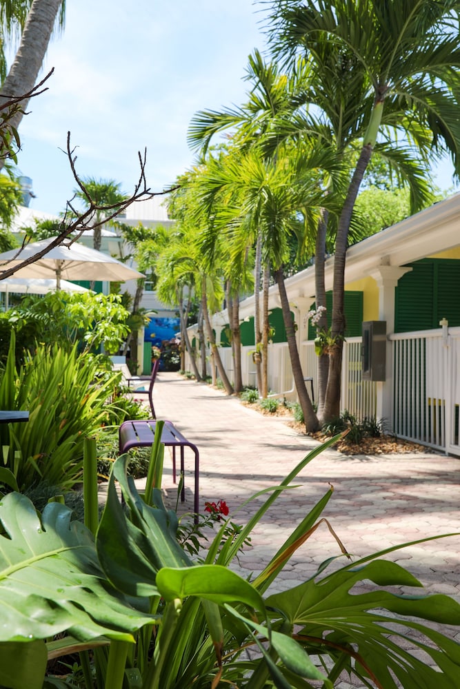Almond Tree Inn 52/67