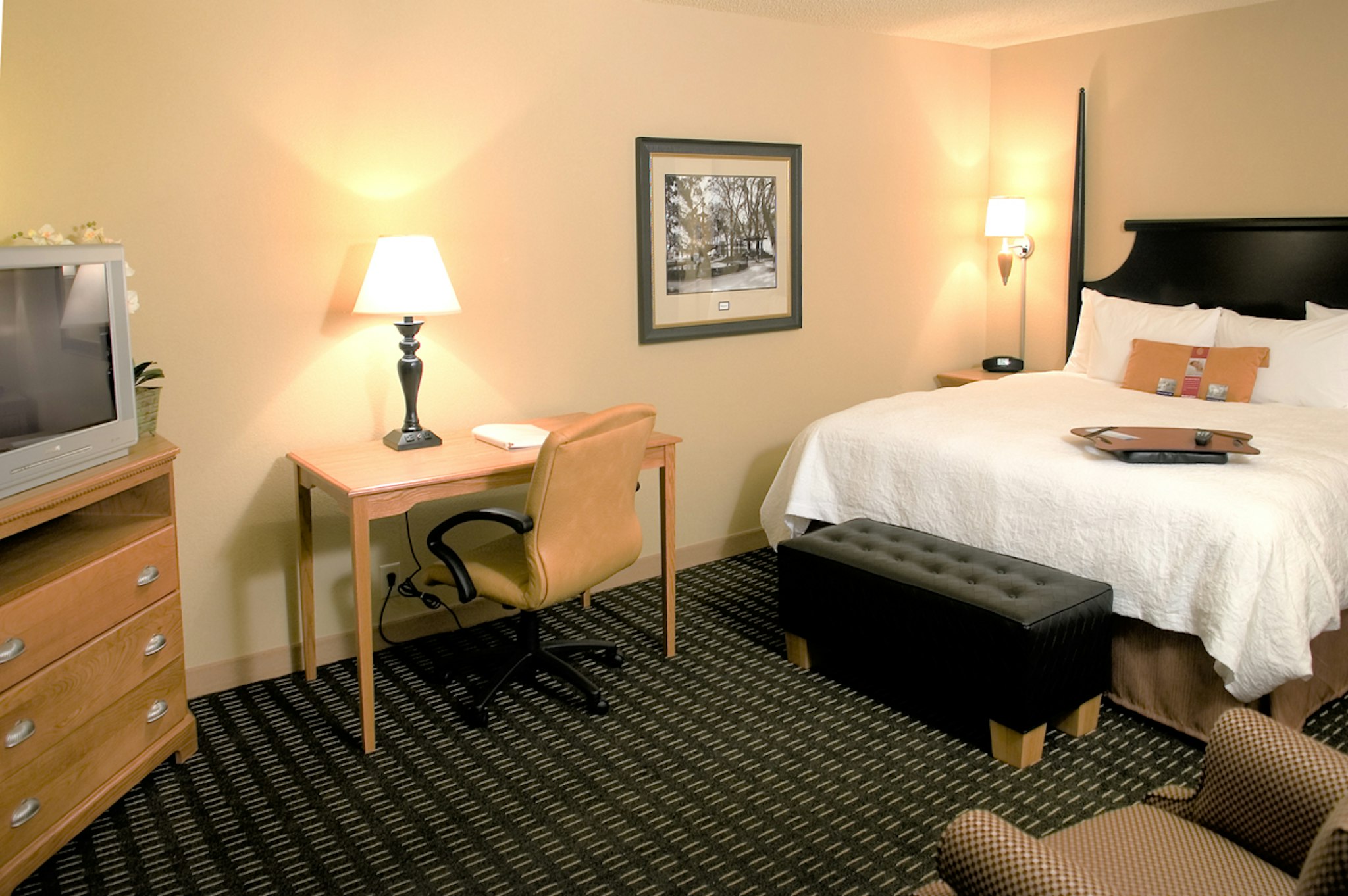 Hampton Inn & Suites Mobile Providence Park/Airport 21/56