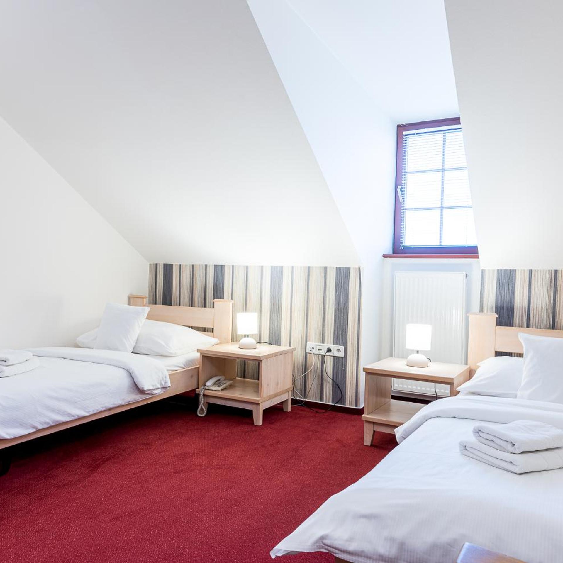 Room, Twin Beds, Attic