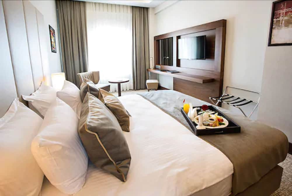 Ramada by Wyndham Yalova 27/53