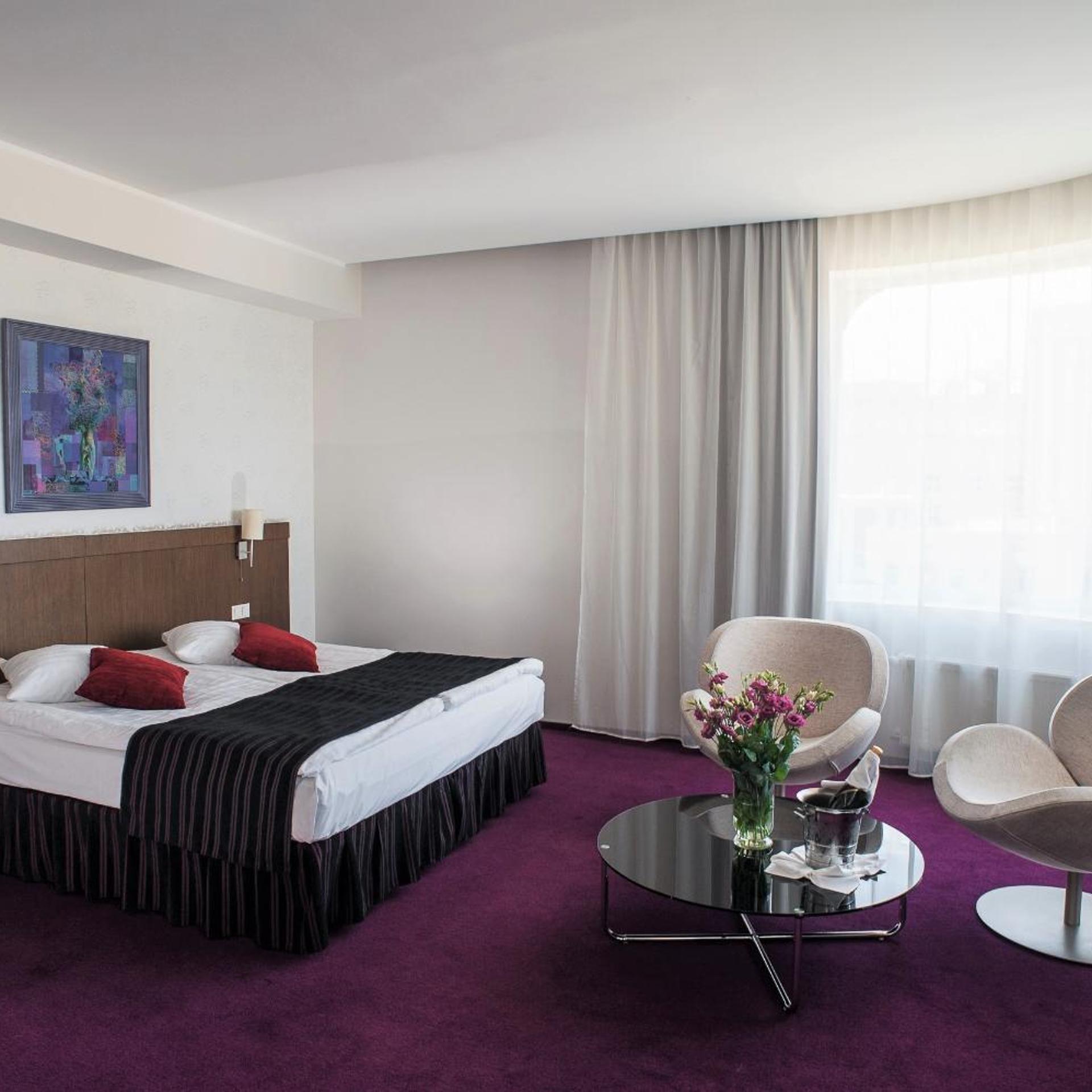 غرفة ديلوكس بسرير مزدوج، Rija Vef Hotel 4/6
