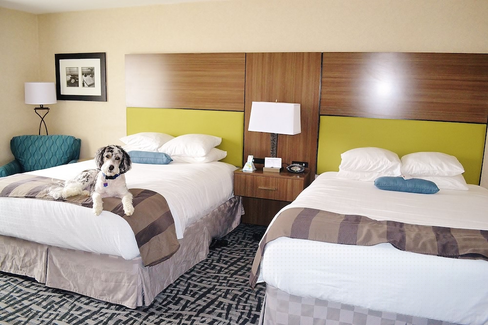Best Western Dubois Hotel 15/42