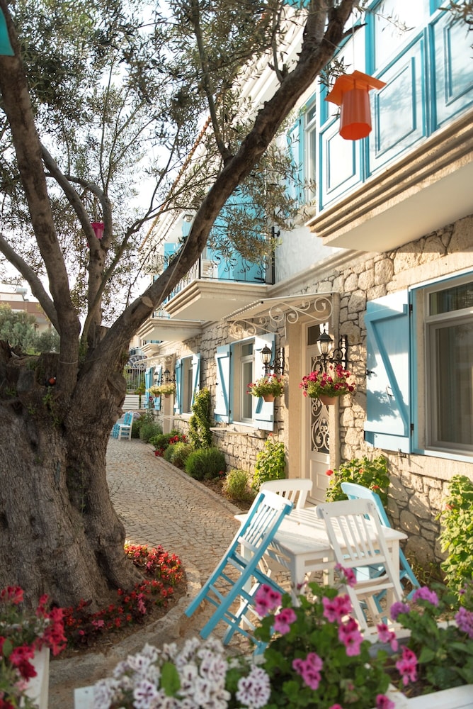 Zeytin Arasi Apart Otel 45/50