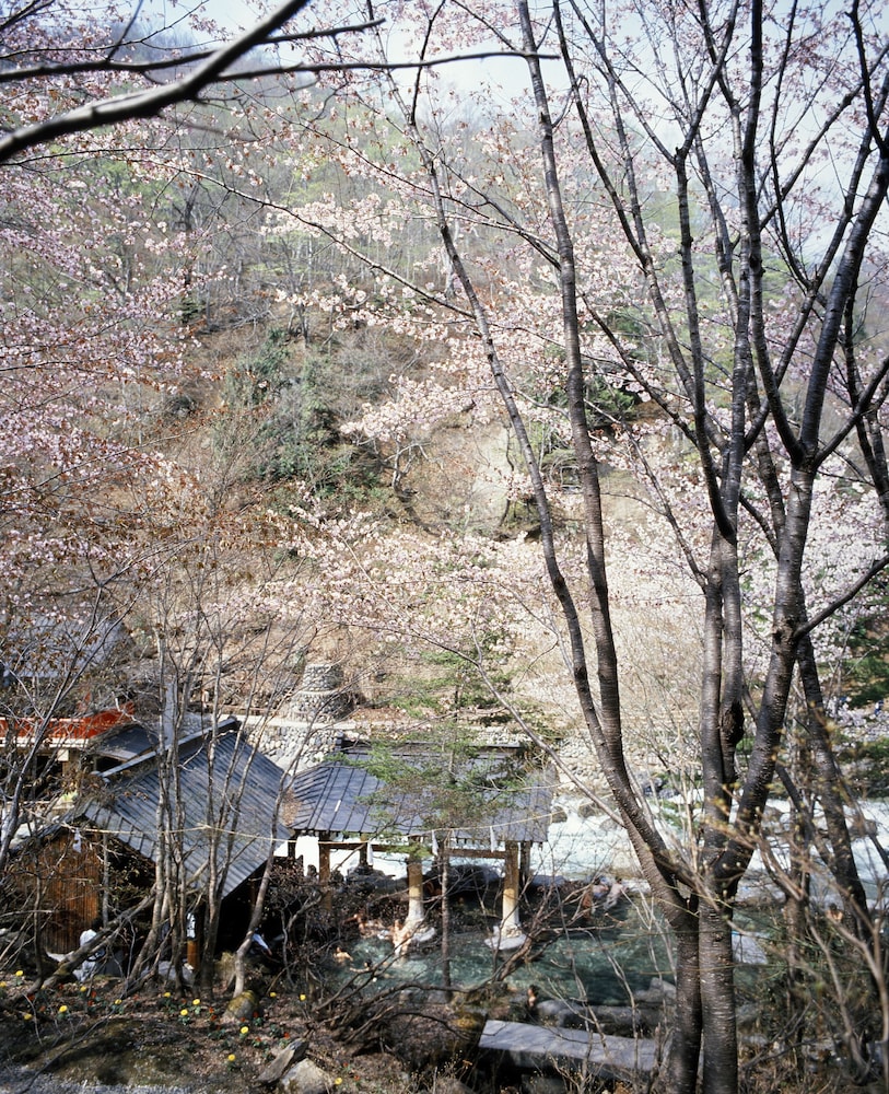 Takaragawa Onsen Osenkaku 33/37