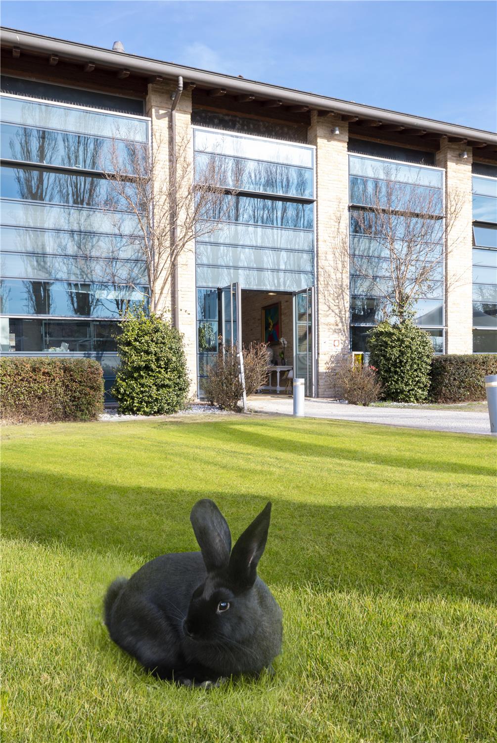 Best Western Hotel Green City 46/48