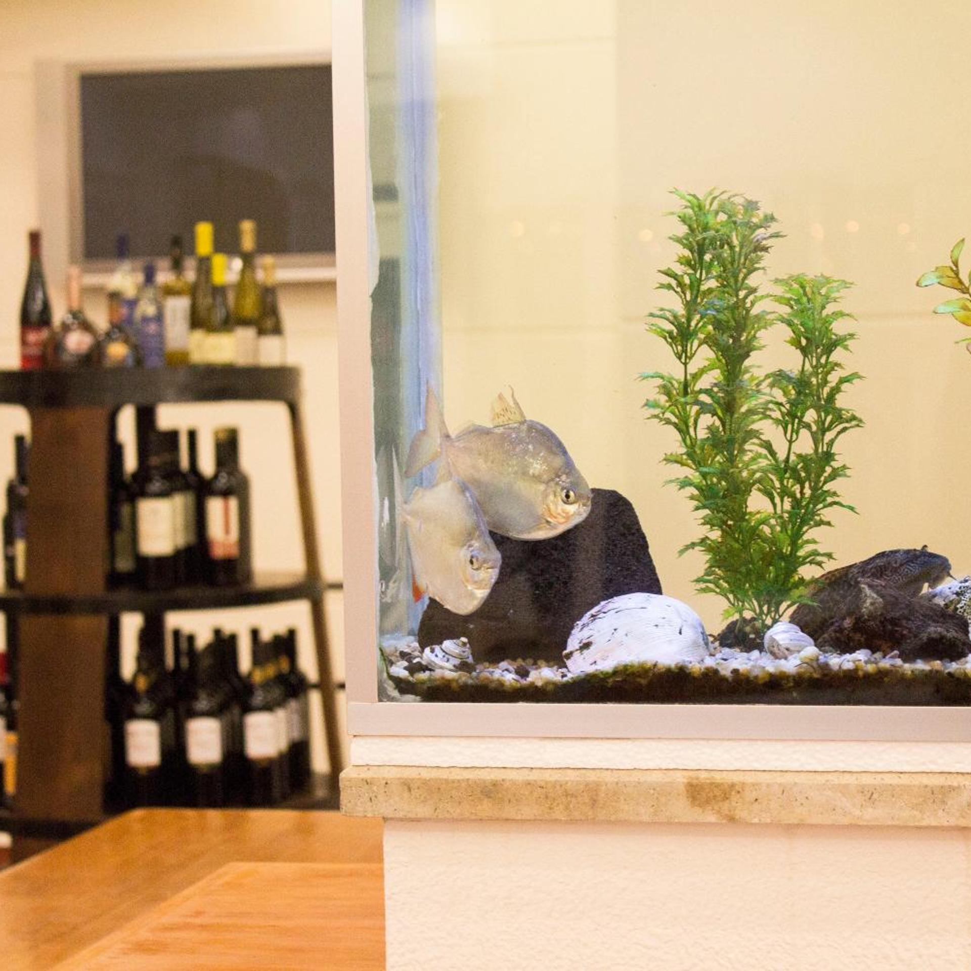 Hotel Areia Dourada 24/34