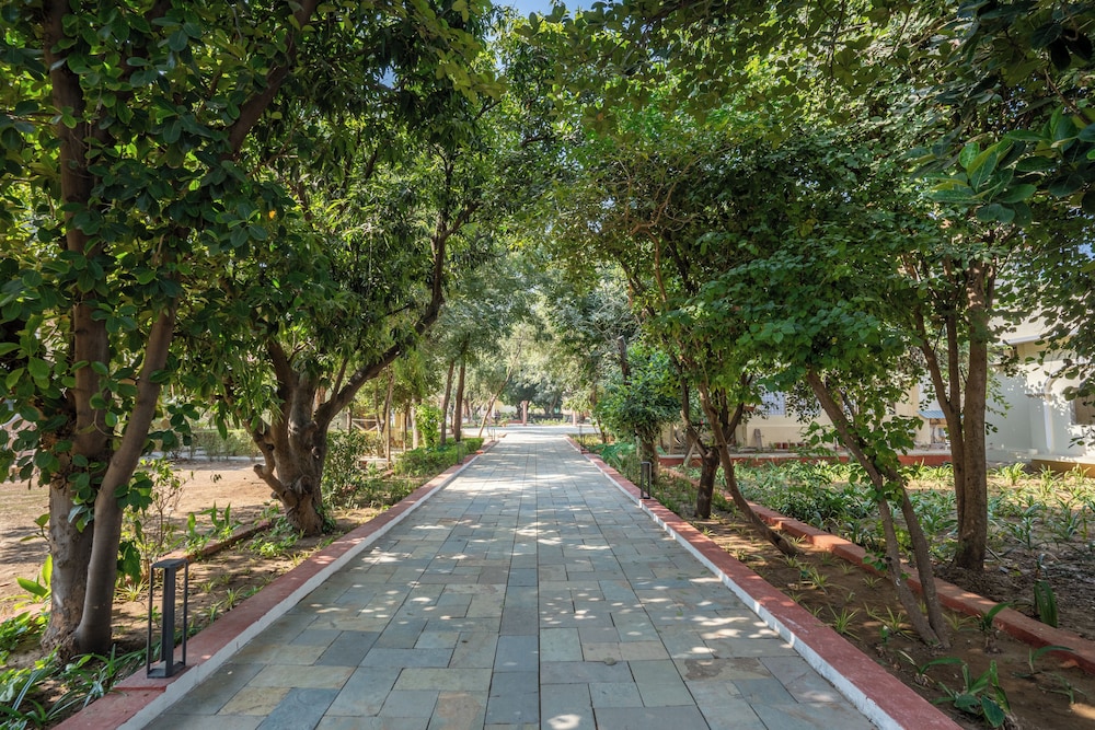 Justa Alwarbagh Sariska 51/62