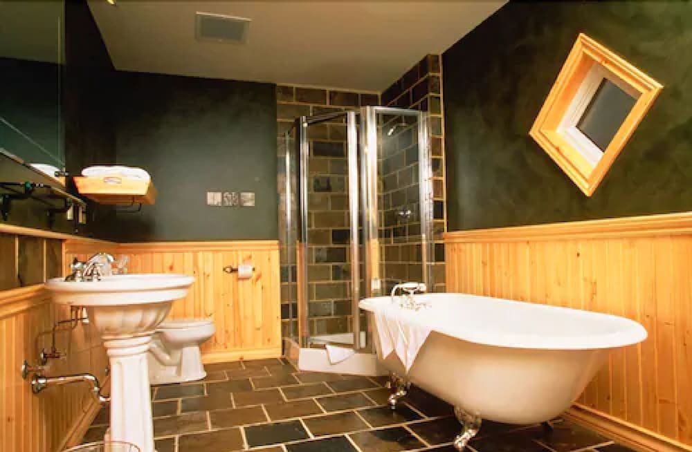Buffalo Mountain Lodge 37/77