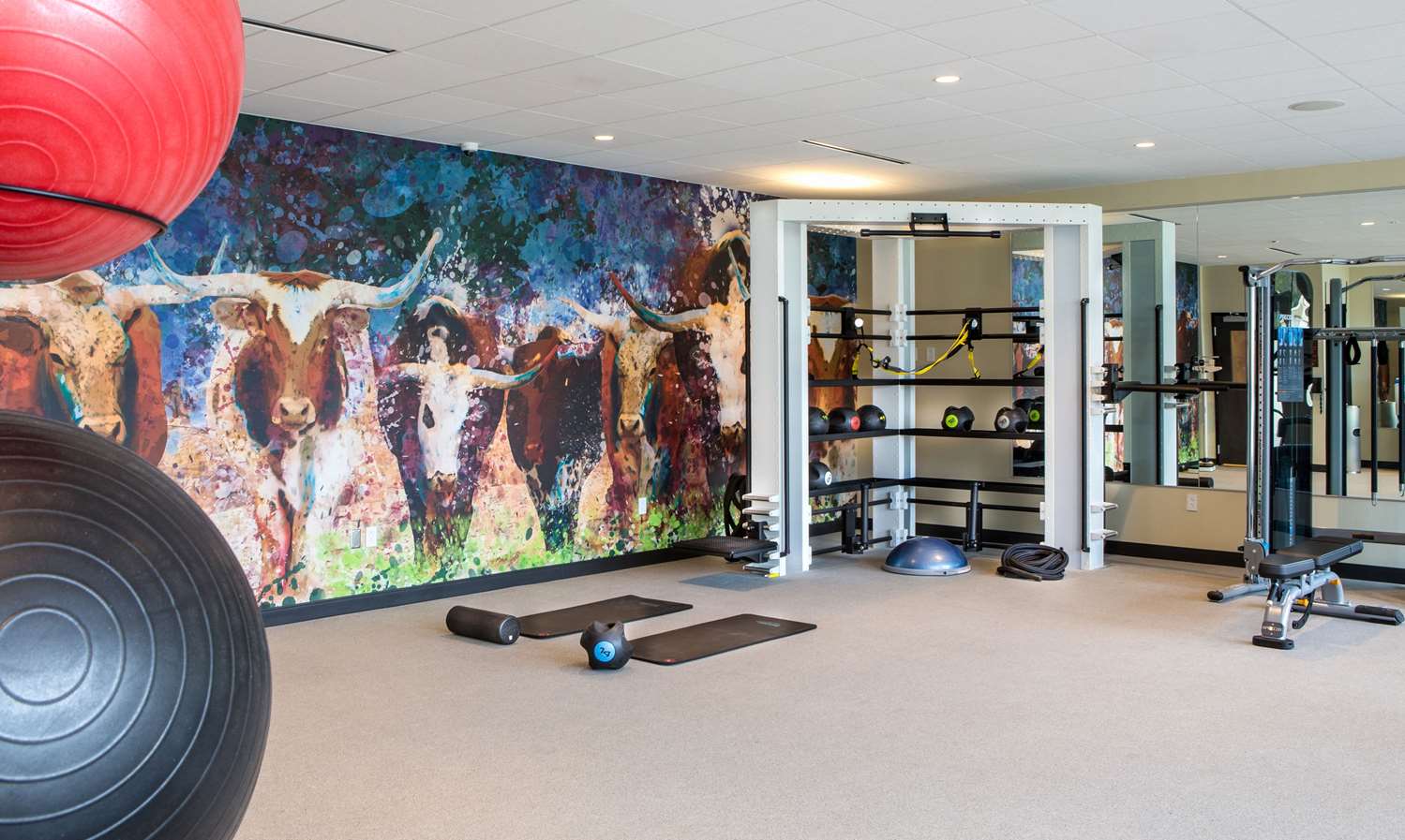 sport facilities
