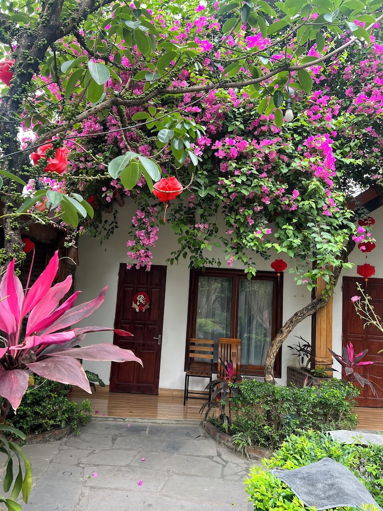Tam Coc Serene Bungalow 3/28