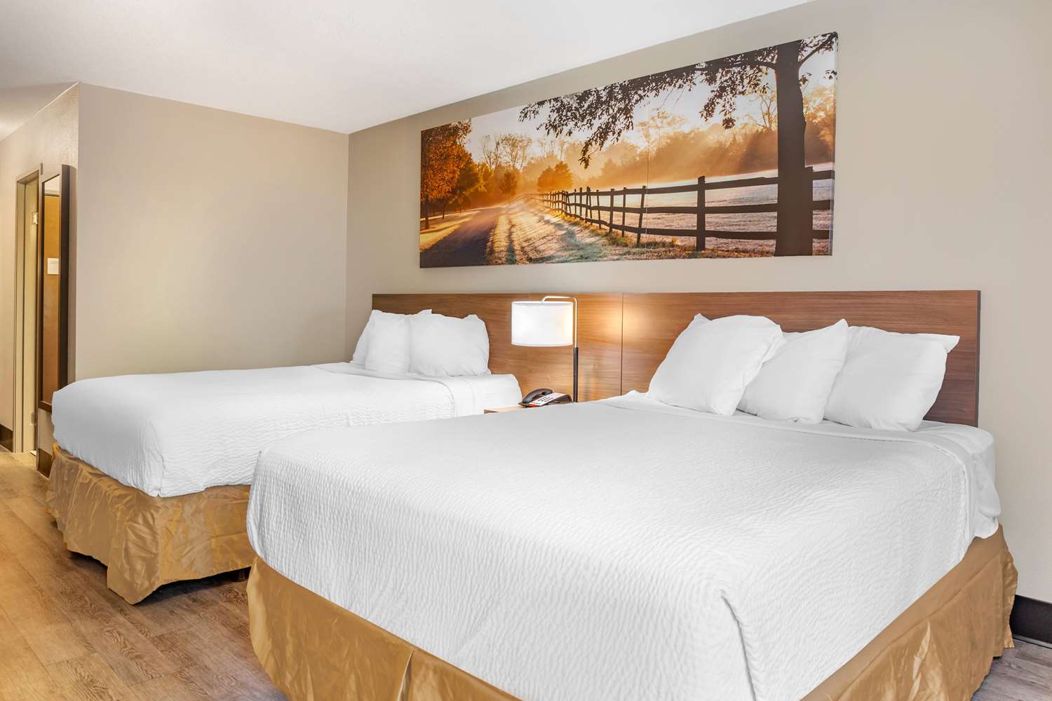 Days Inn Suites By Wyndham Rocky Mount Golden East 28/56