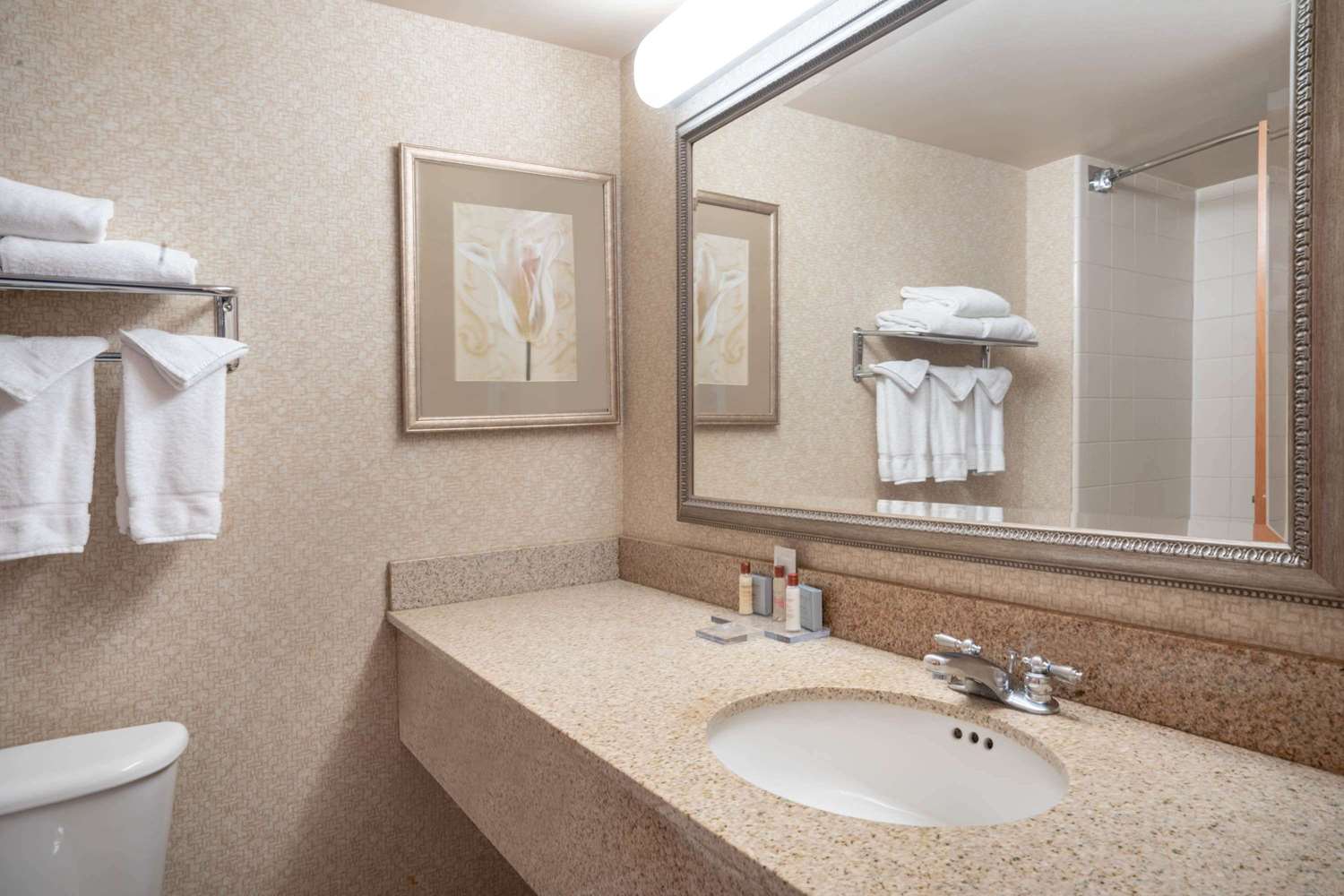 Wingate By Wyndham Charlotte Airport 20/23