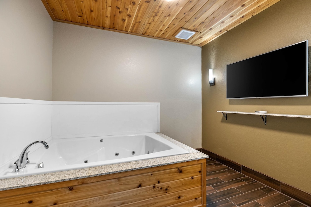 Comfort Inn & Suites Cedar Rapids Cid Eastern Iowa Airport 19/44