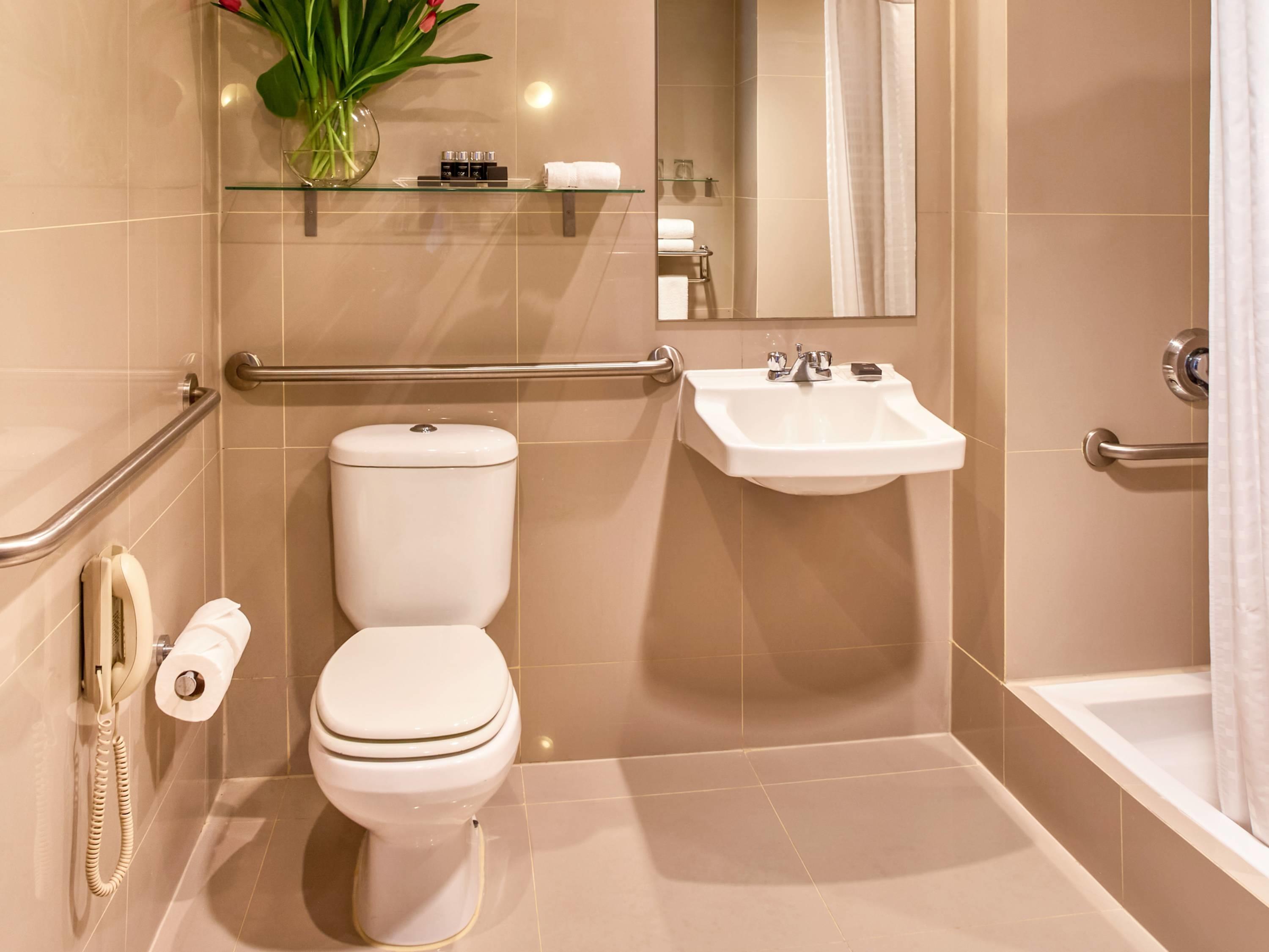غرفة سوبيريور بسريرين مزدوجين لذوي الإعاقة، Pullman Lima San Isidro 5/7