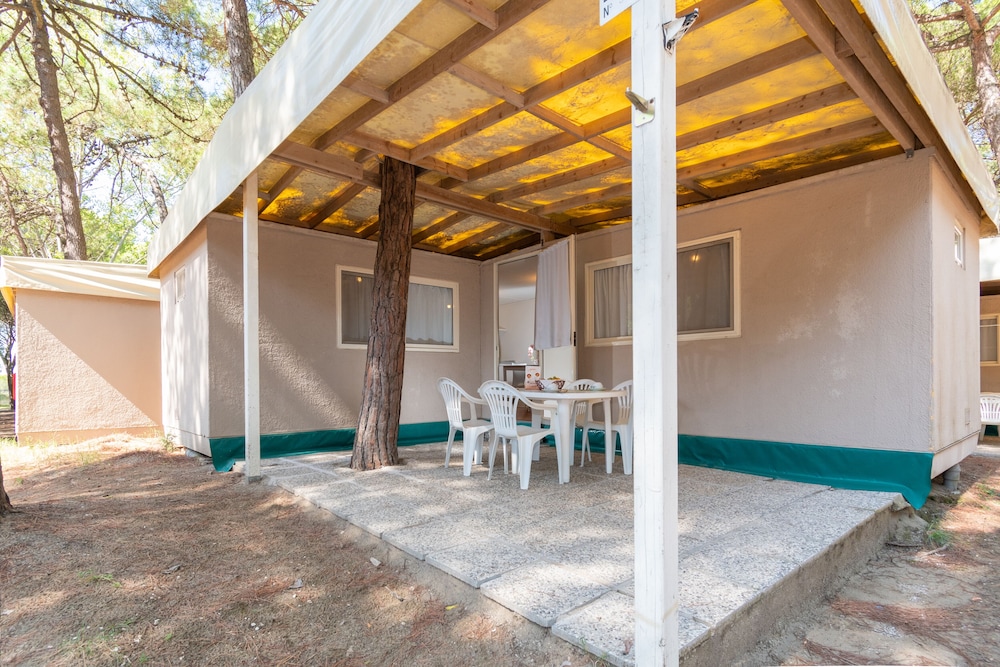 Club del Sole Spina Family Collection 23/50