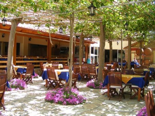 Lintzi Hotel in Pineios