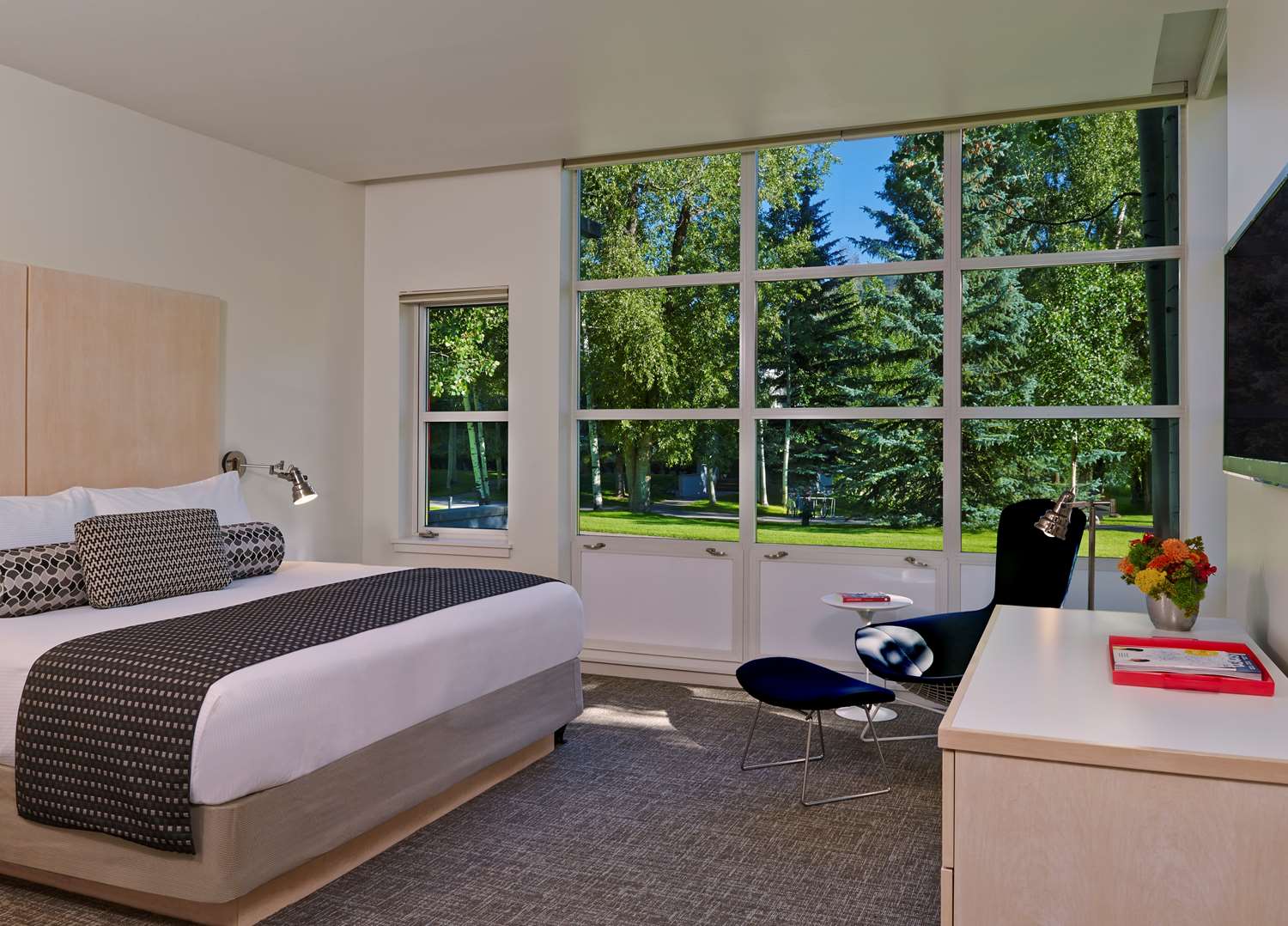 1 Bedroom, Mountain, Deluxe, Suite