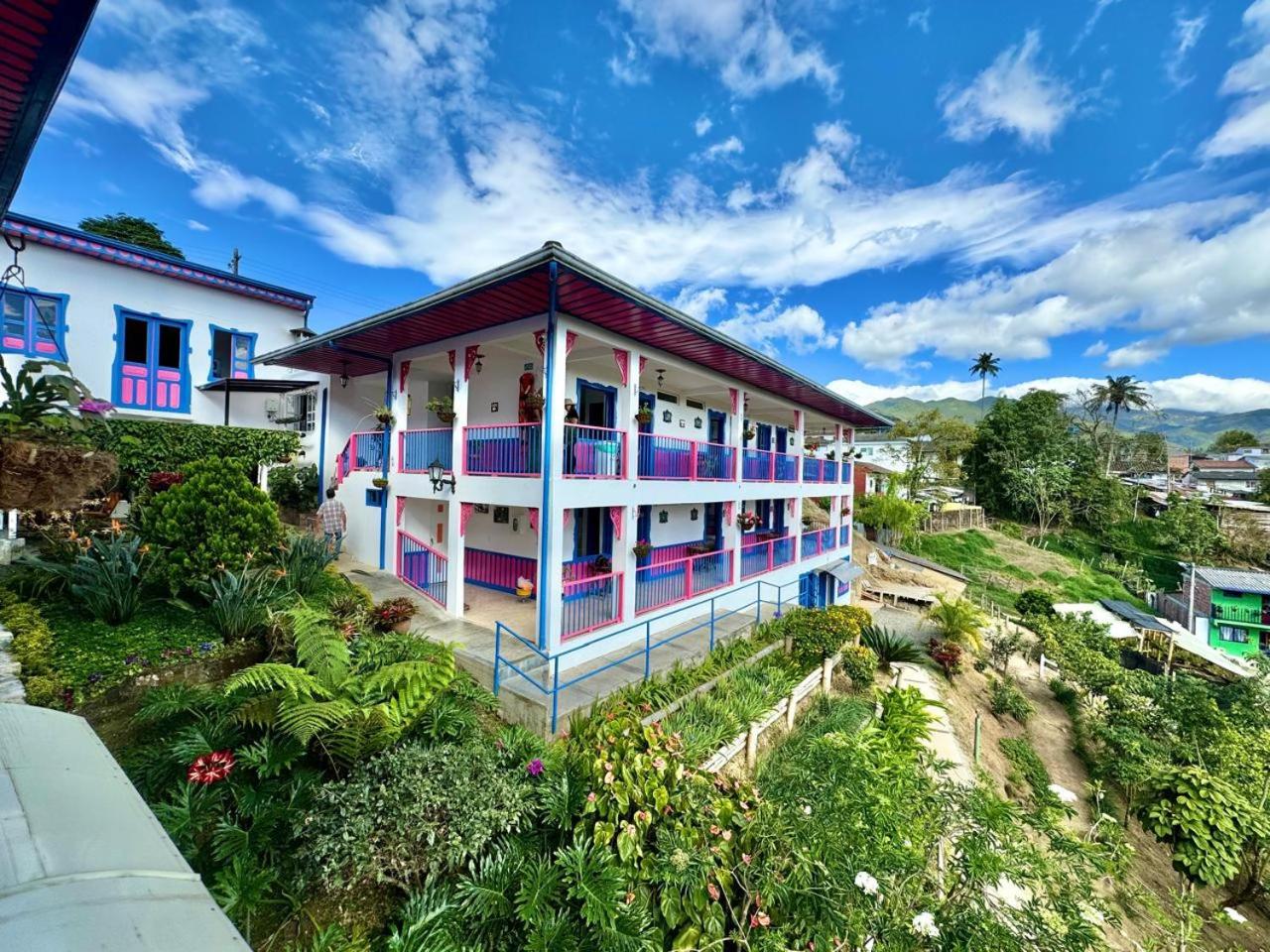 Hotel El Jardin 5/50