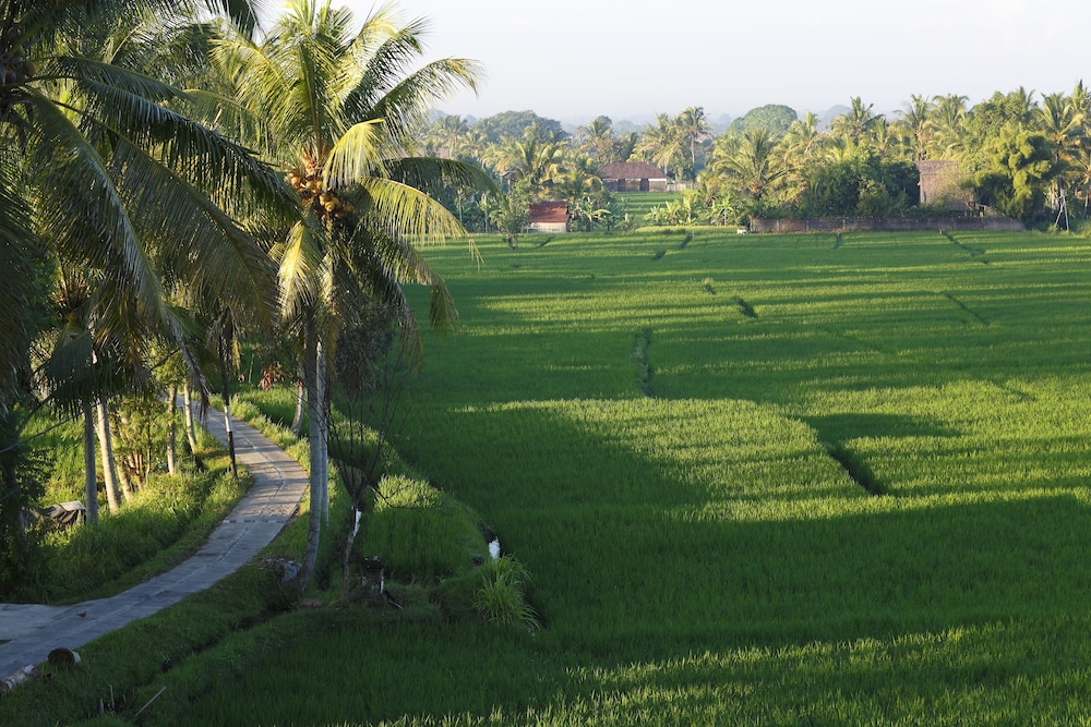 Luxe Villas Bali 28/50