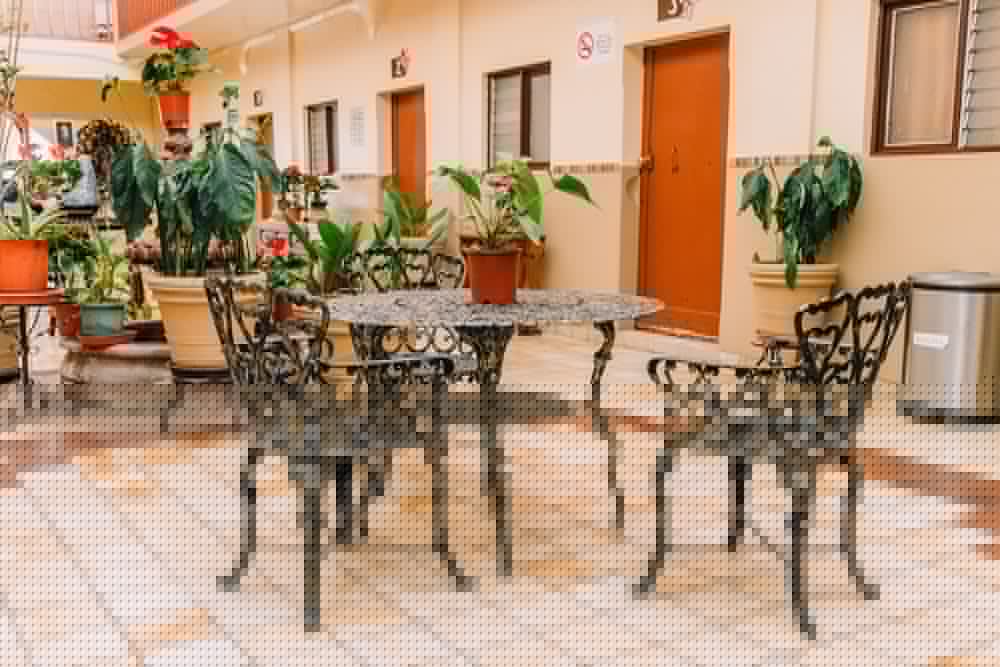Hotel Cervantino 33/50