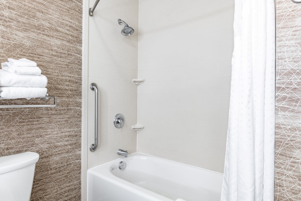 Holiday Inn Express & Suites New Martinsville 23/73