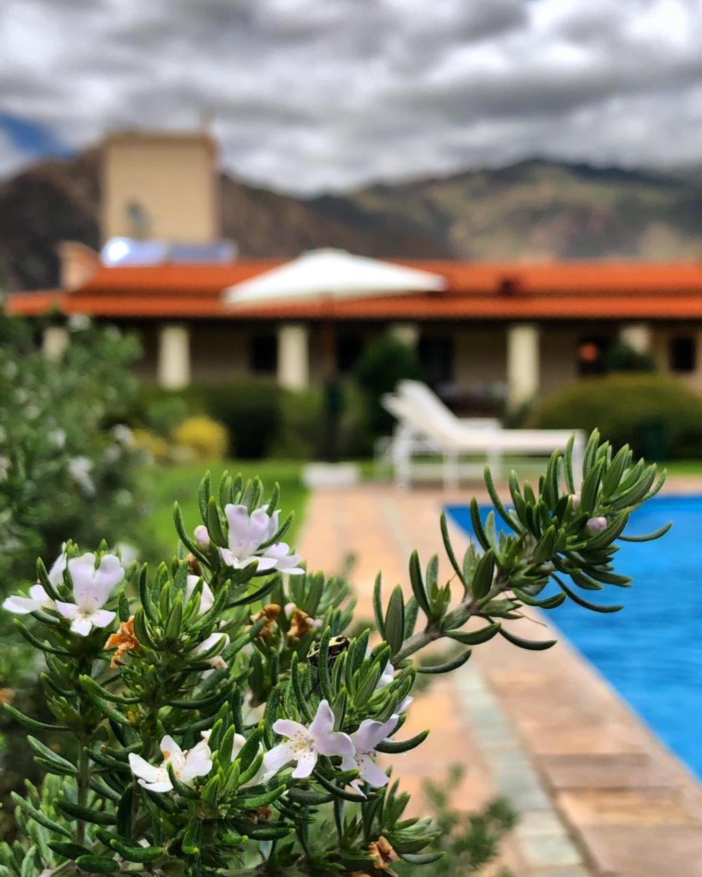 Vinas de Cafayate Wine Resort 3/53