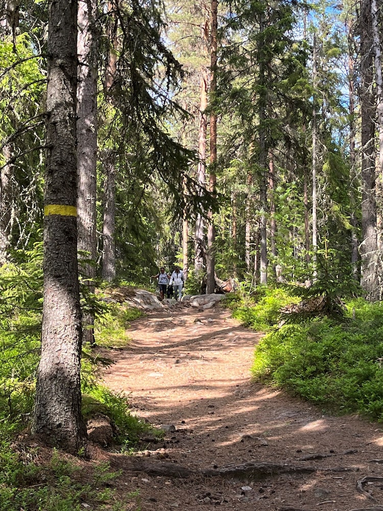 Bergshotellet 39/45