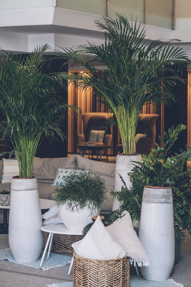 Iberostar Selection Playa De Muro Village 49/64