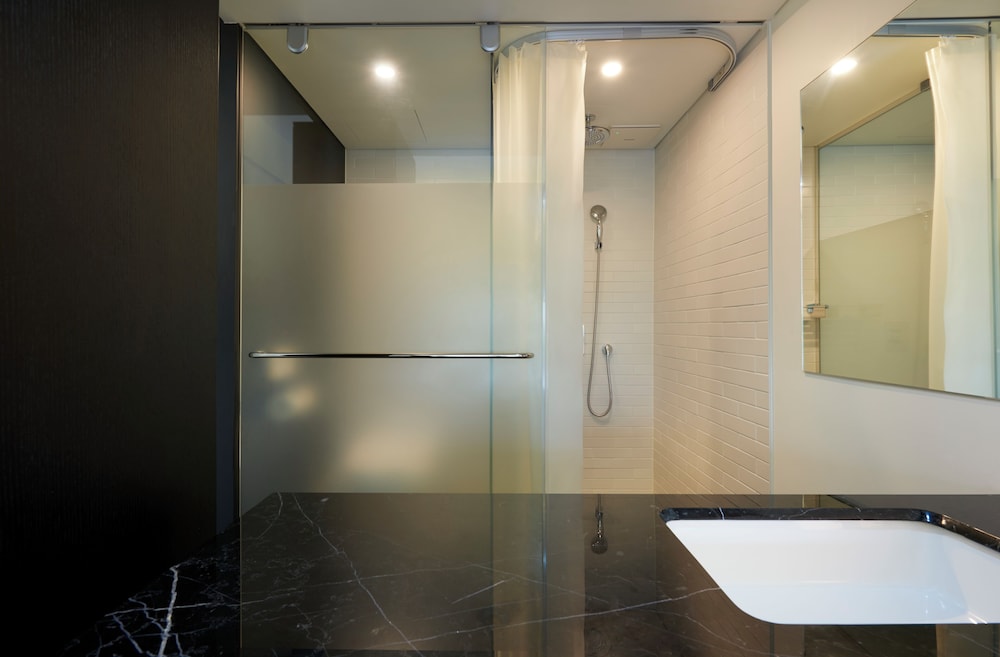 Sotetsu Hotels The Splaisir Seoul Myeongdong 81/81
