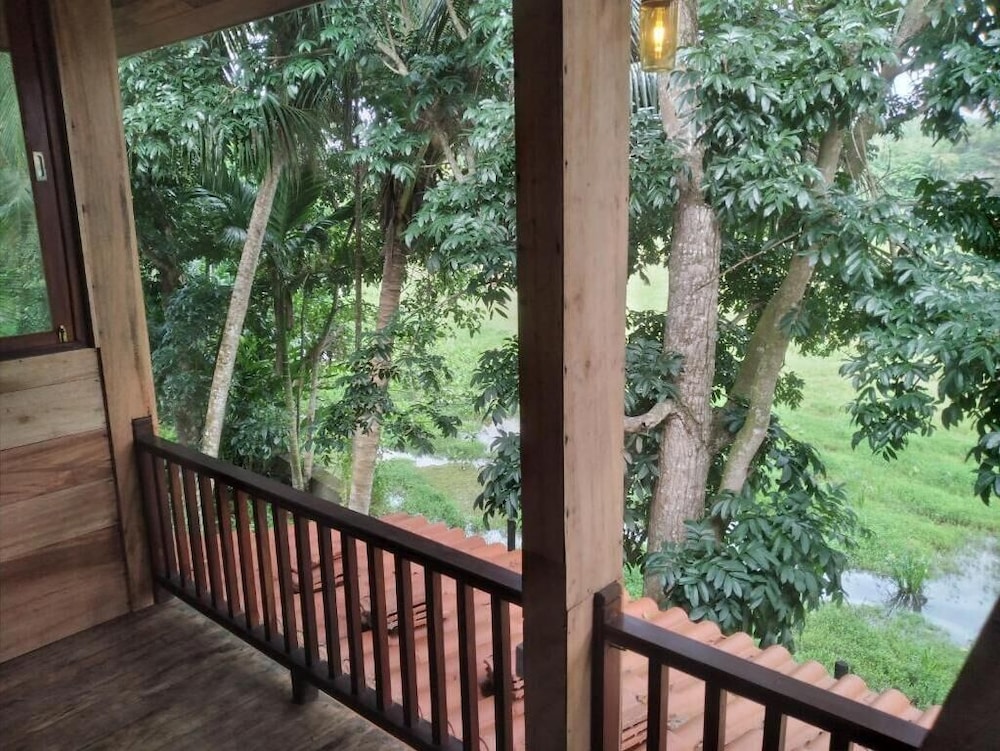 Green Herbal Ayurvedic Eco-Lodge 37/54