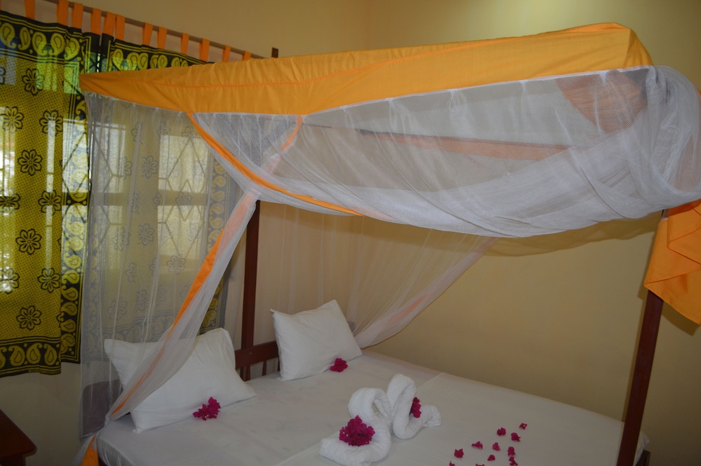 Zanzibar Dream Lodge 10/50