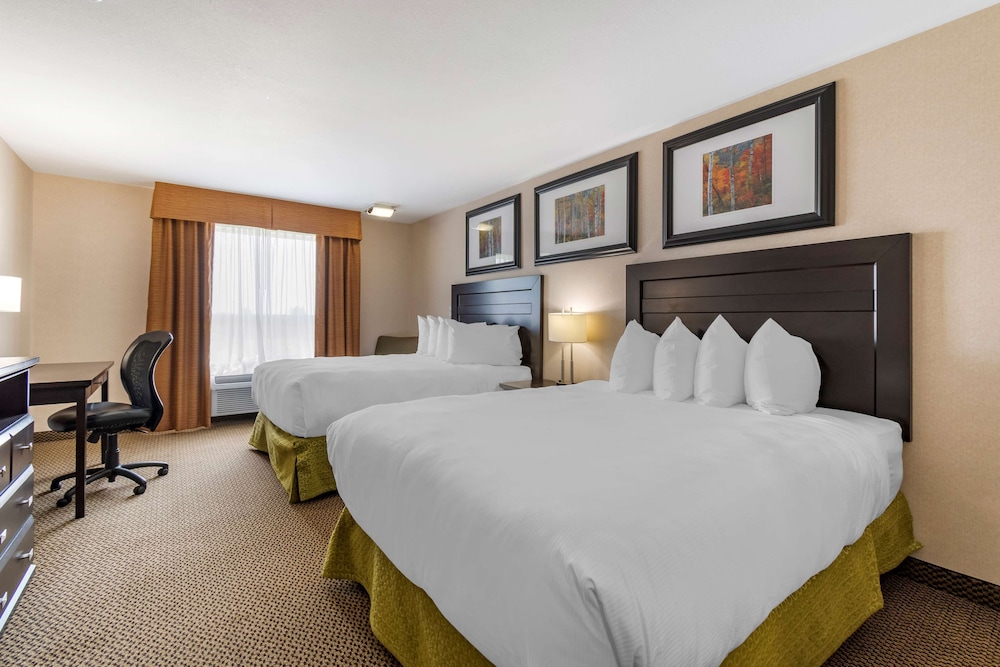 Standard, 2 Queen Beds, Pet Friendly