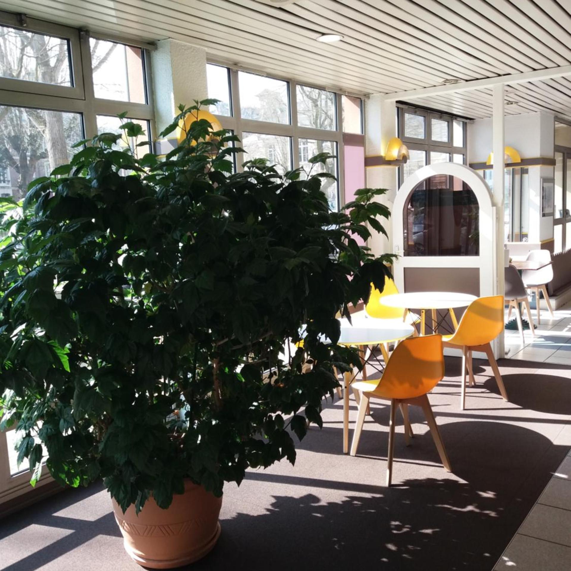 EGG HOTEL - HOTEL LES GENS DE MER Dieppe 29/48