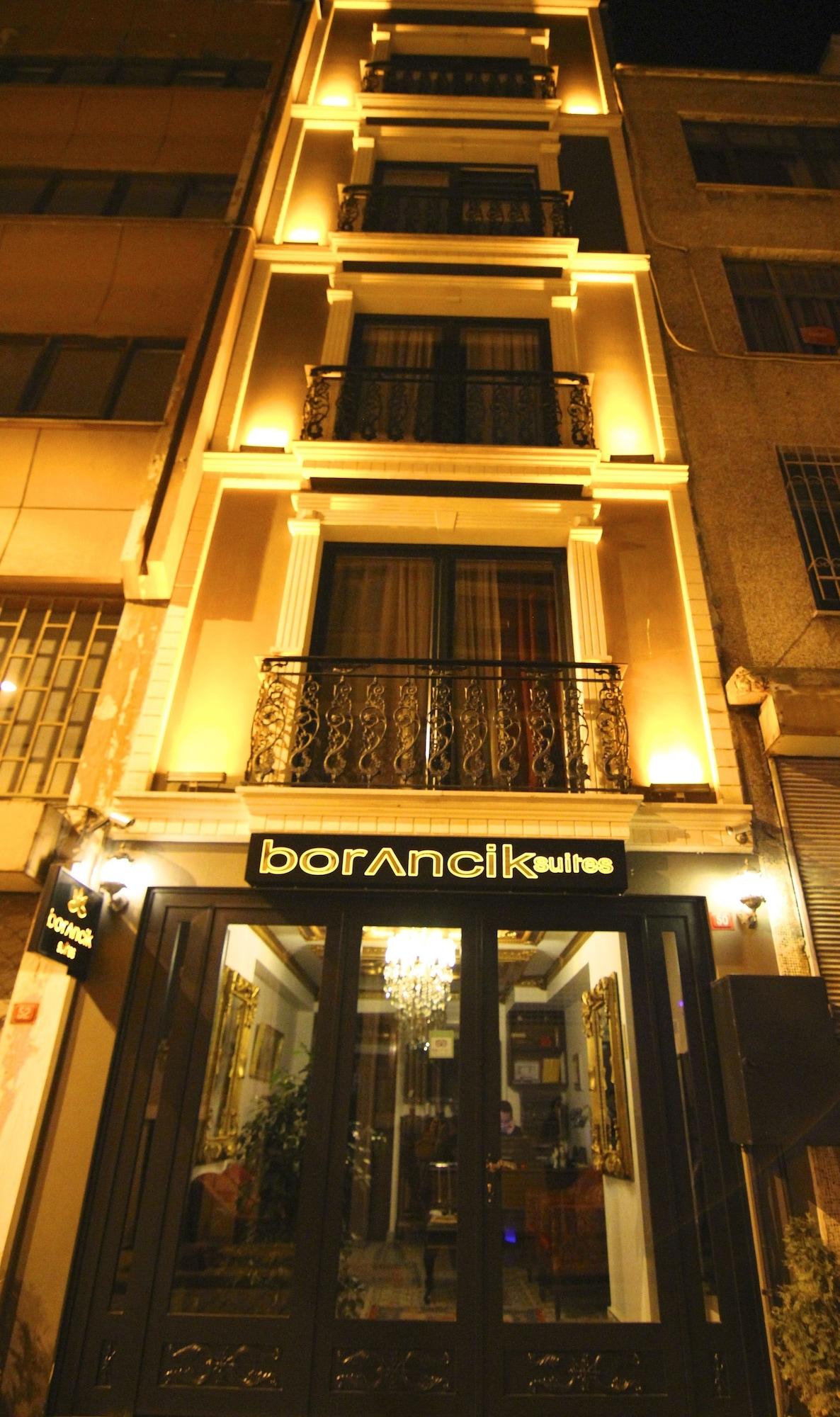 Borancik Suites 1/100