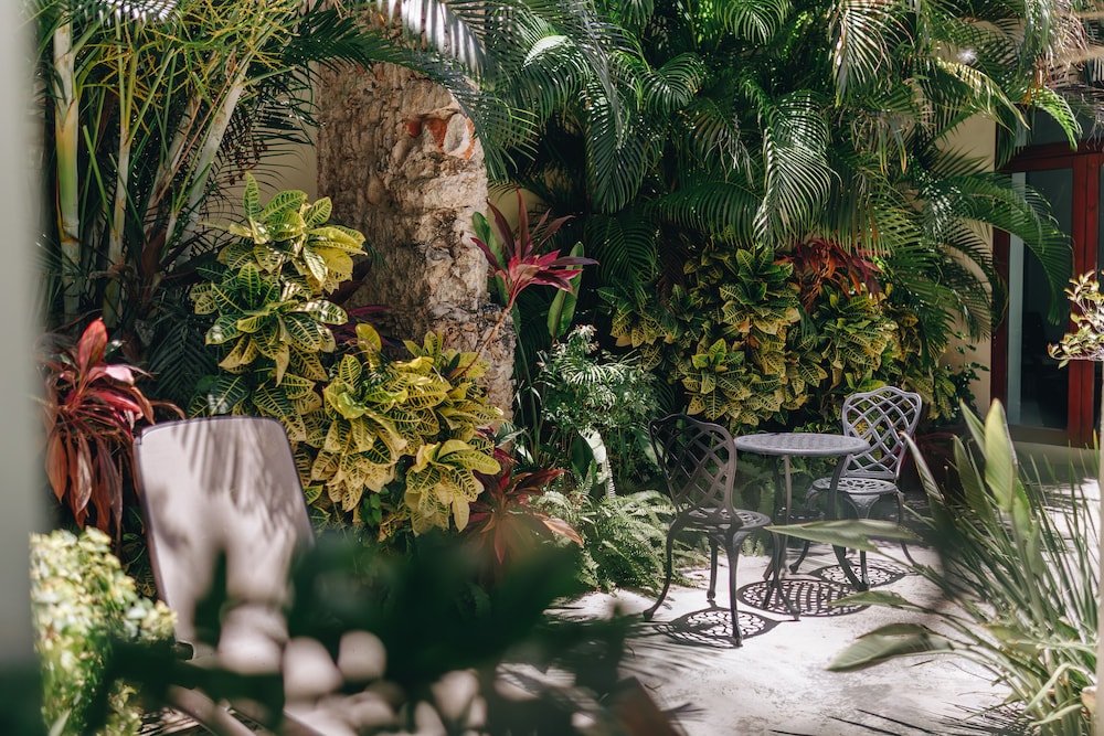 Hotel Casa Palomino 43/50