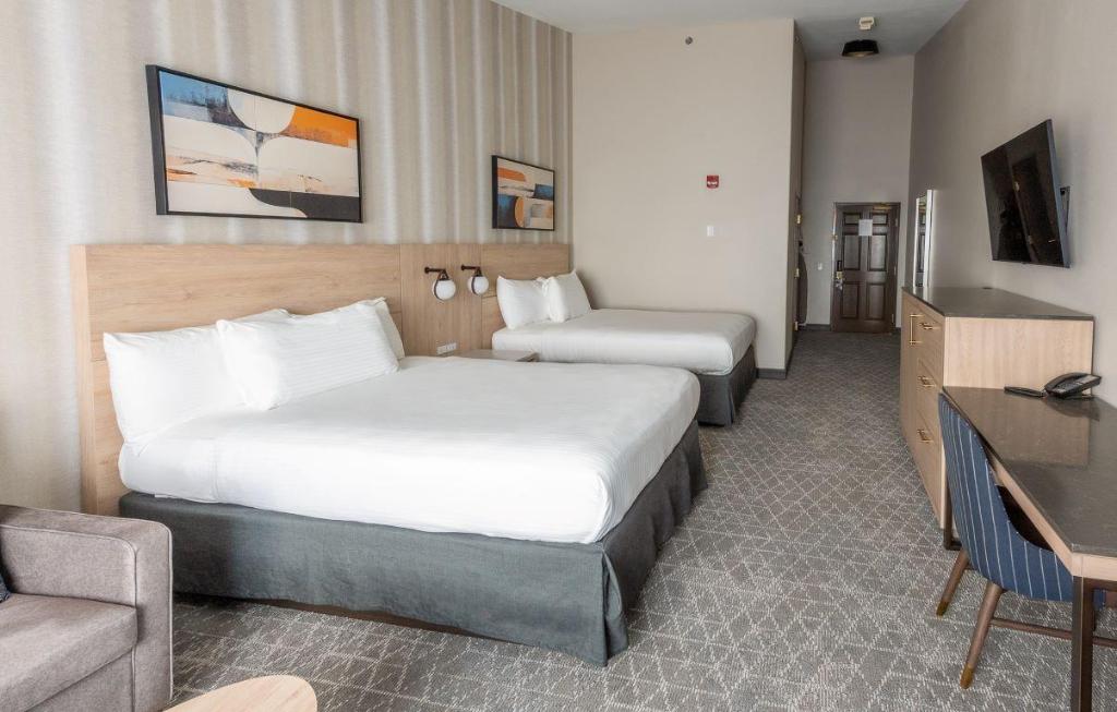 Accessible 2 Queen Studio Suite w/Sofa Bed, Shower