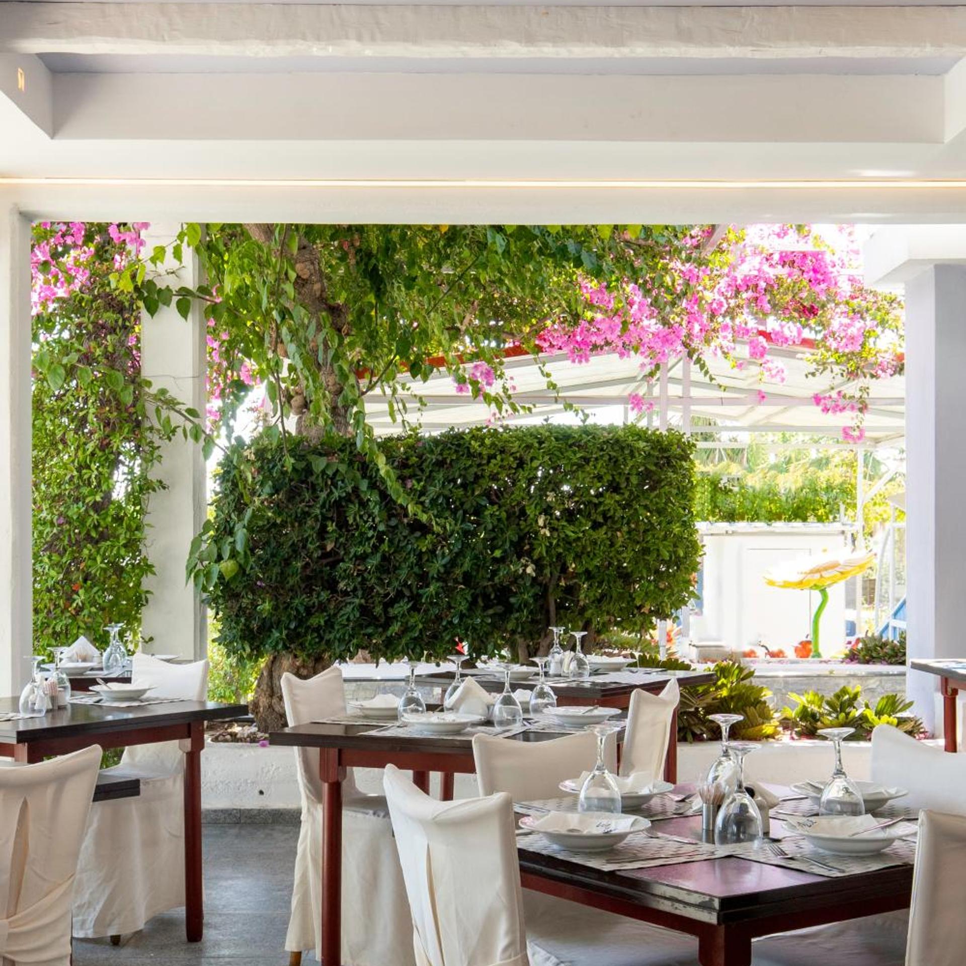 Kolymbia Sun 38/55