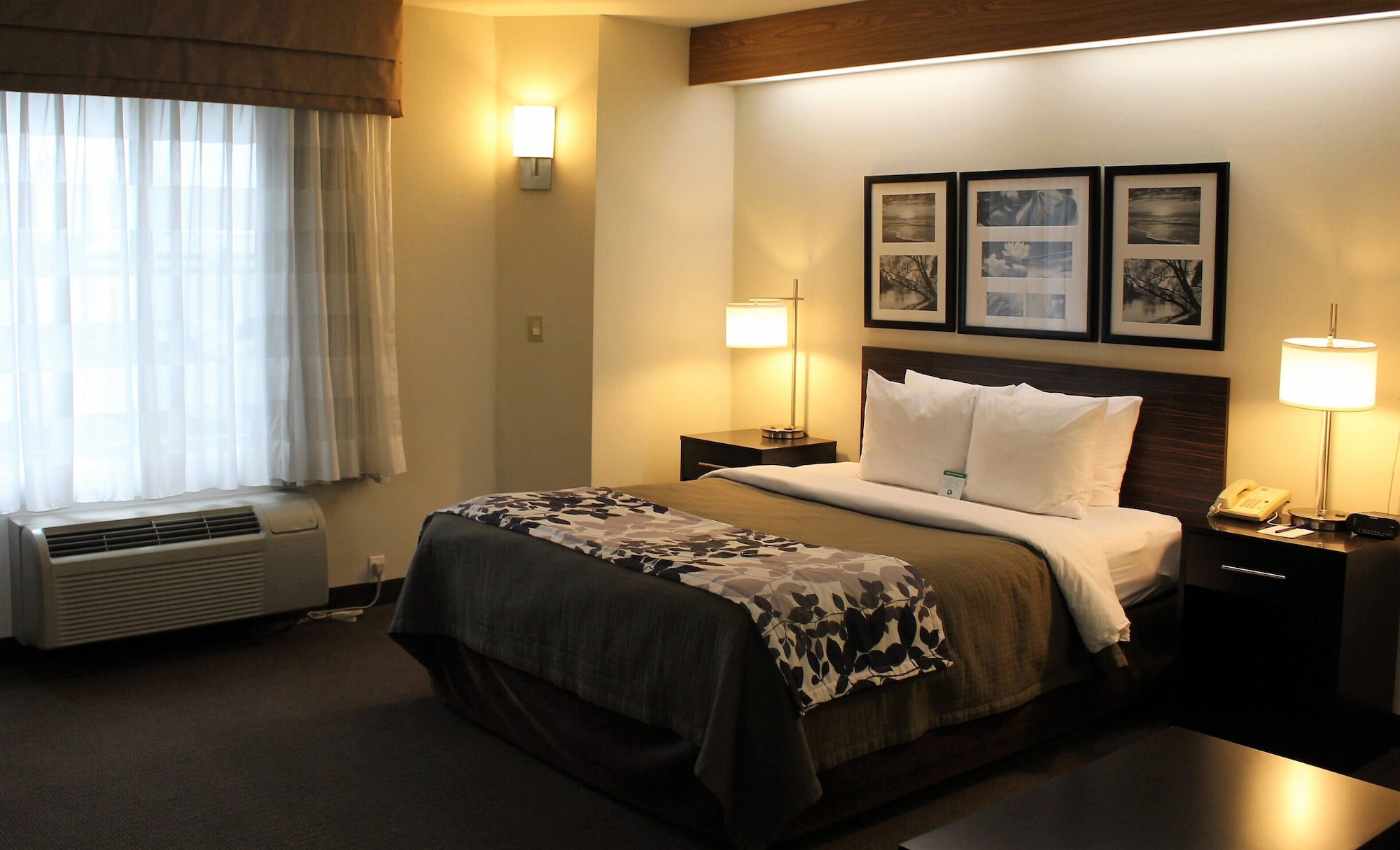 Efficiency, Queen Bed, Accessible